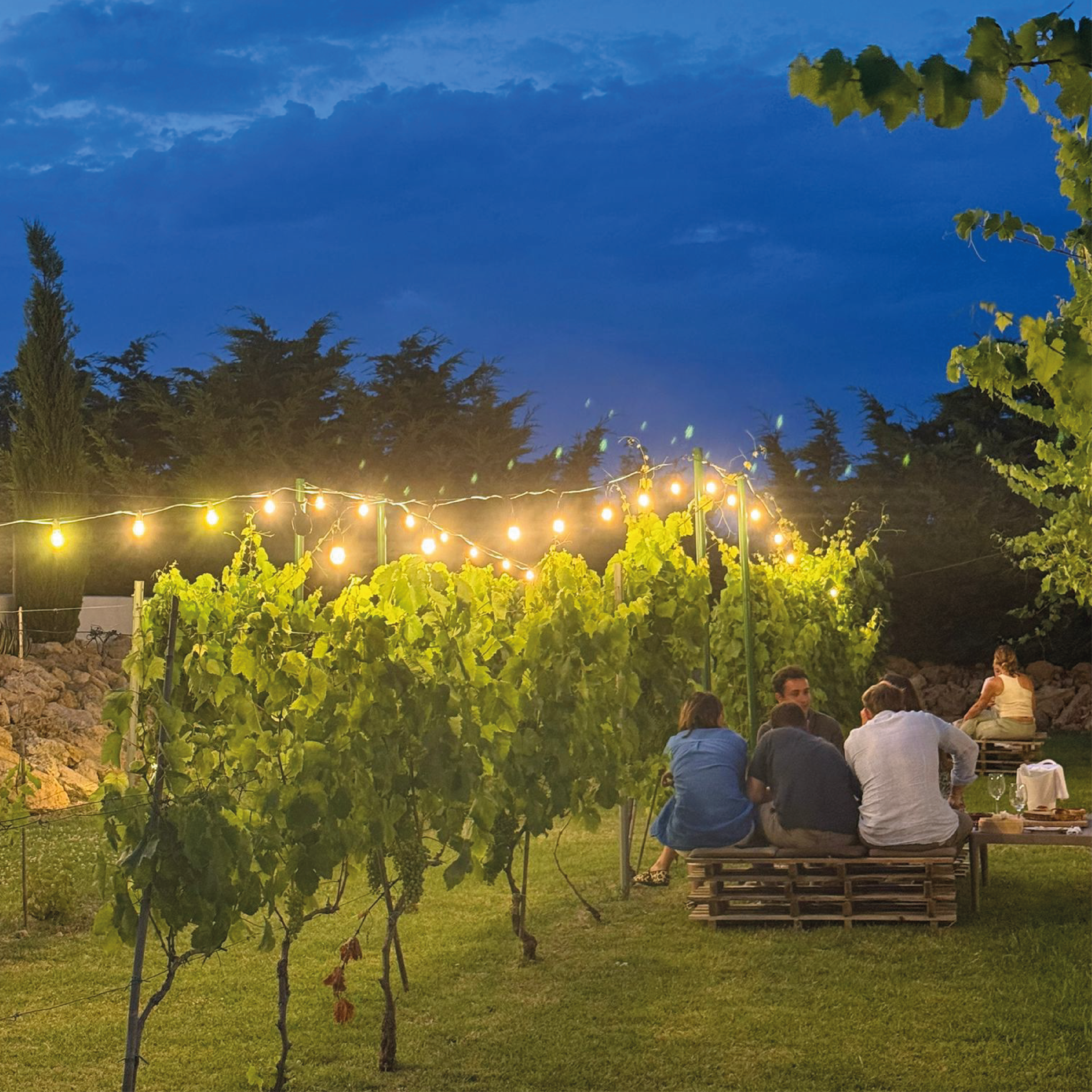 Degustazione al tramonto